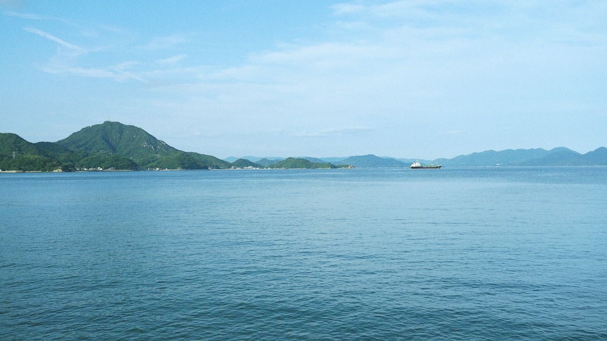 THE LANDSCAPE