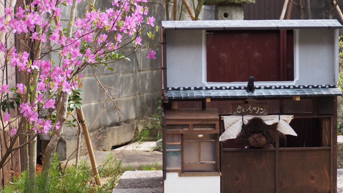【ペット同伴可プラン】ワンちゃんと泊まれる一棟貸切古民家宿 - 2
