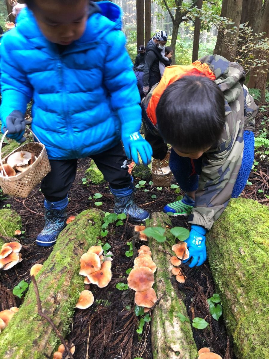 秋の恵み!野沢温泉で楽しむキノコ狩 - 3