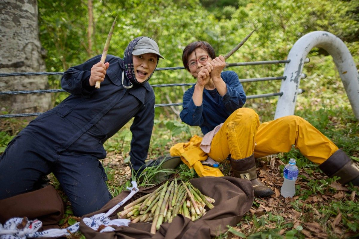 Negoma Bamboo Shoots (Snow Country Bamboo Shoots) Harvesting Experience (By Request Only) - 3