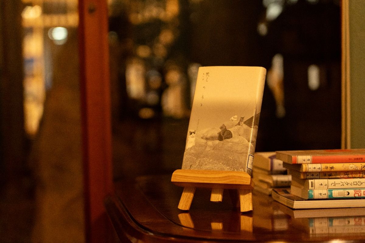 257号室 - 4