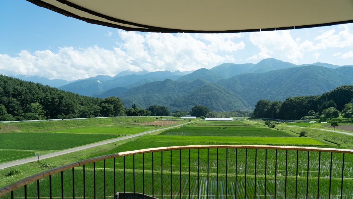 小泊Fuji - 4