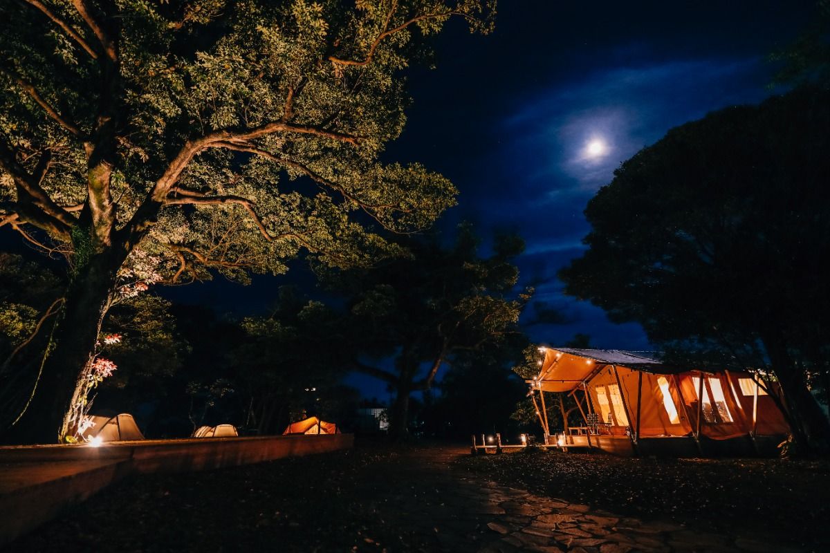 SAFARI TENT（ST-1,2,3） - 5