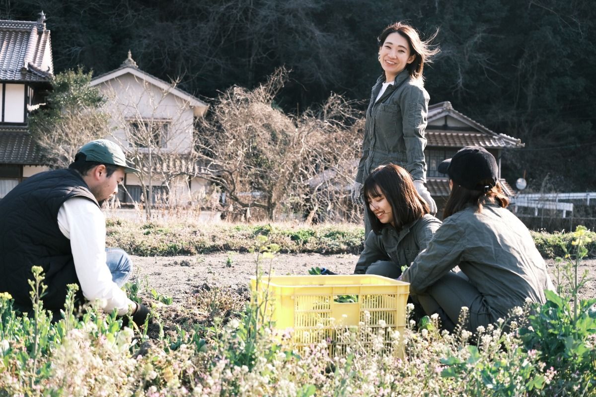 Tamari Ya FARM STAY