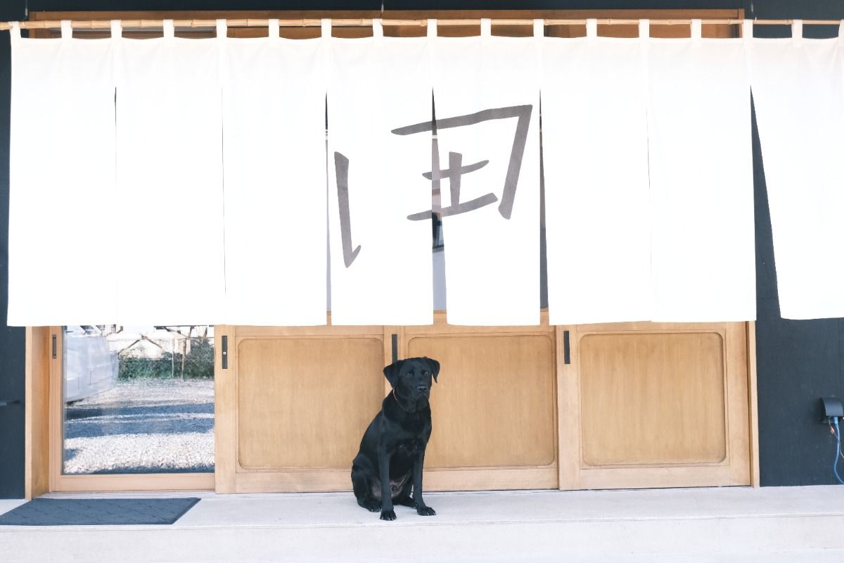 愛犬と農村ステイプラン（素泊まり） - 4