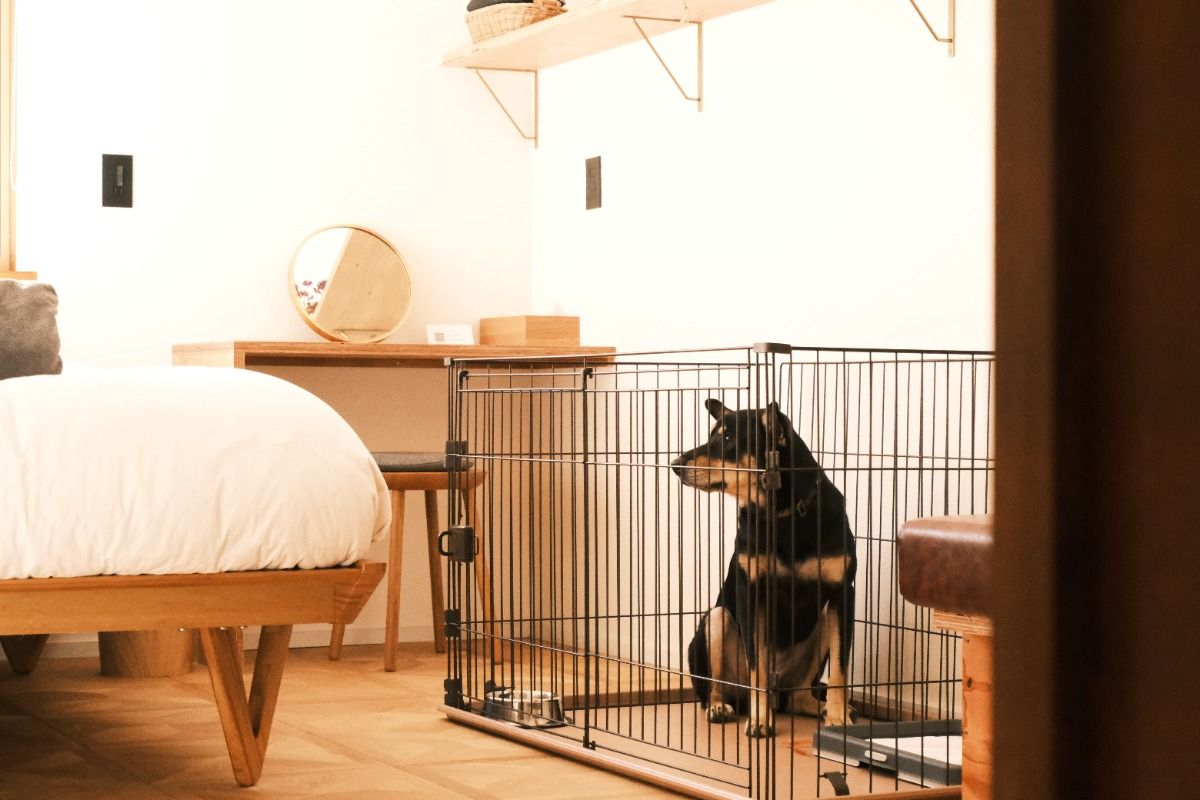 愛犬と農村ステイプラン（素泊まり） - 5