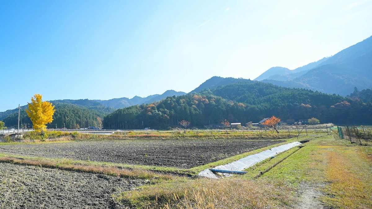 Landform workshop cottage Keihoku - 30