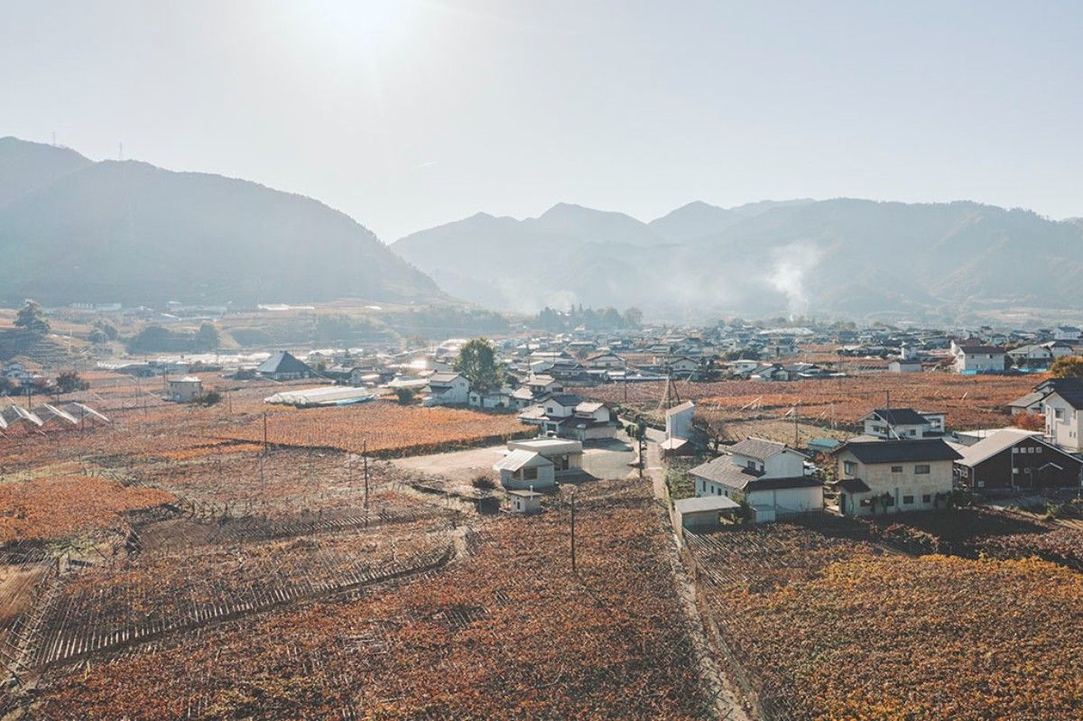 FUDO 庵 - 5
