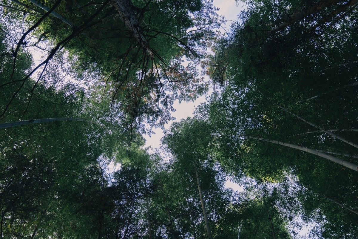 彼はたれ - 9