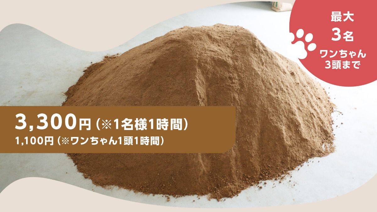 酵素風呂(1時間)ご利用プラン ※入酵30分、休憩、シャワー - 1
