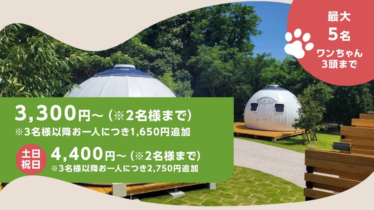 ドーム【小】ショートデイ（11:00～15:00）