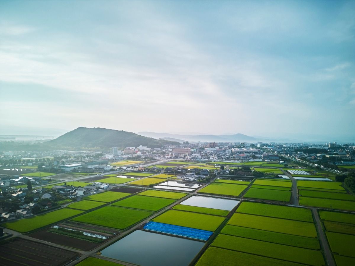 YHouse - 3