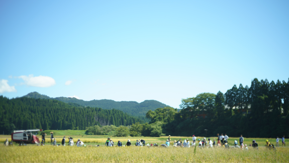 市とコージ - 5