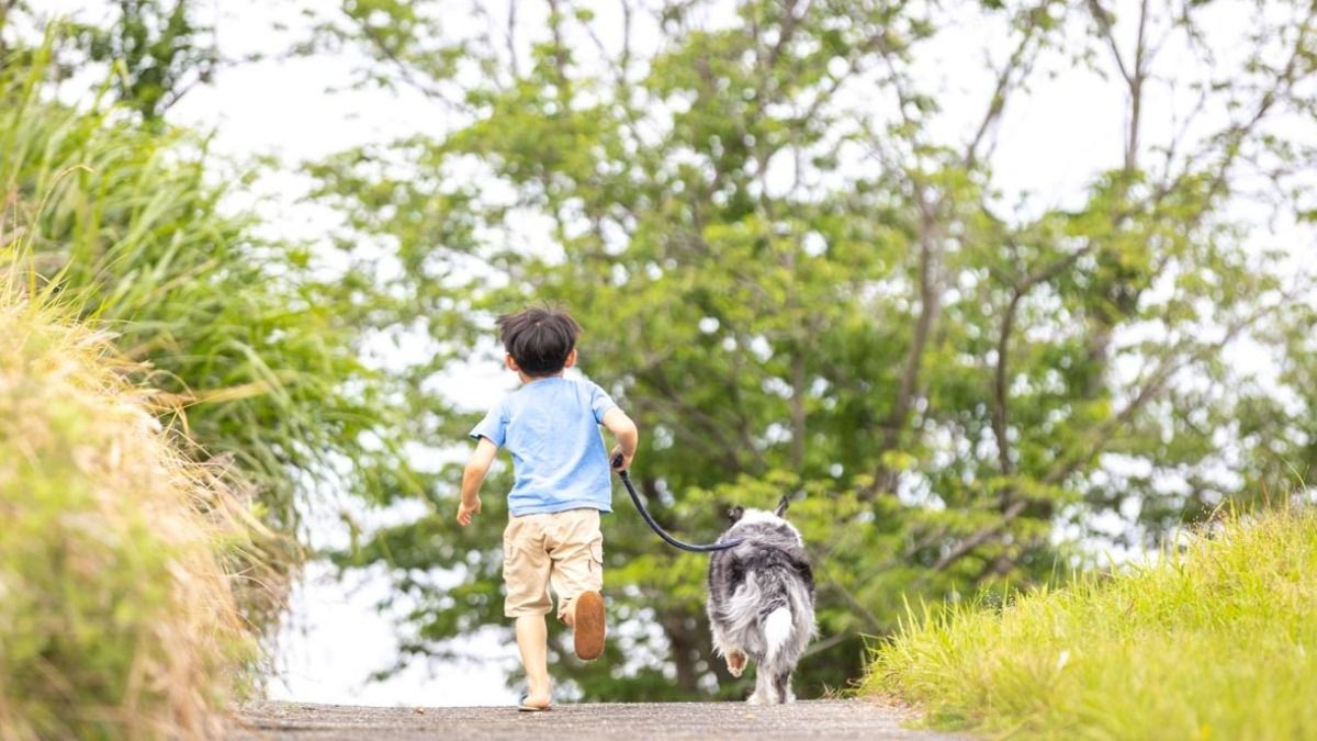淡路島 貸別荘｜ペット歓迎・犬と泊まれる｜Nafsha Seed  