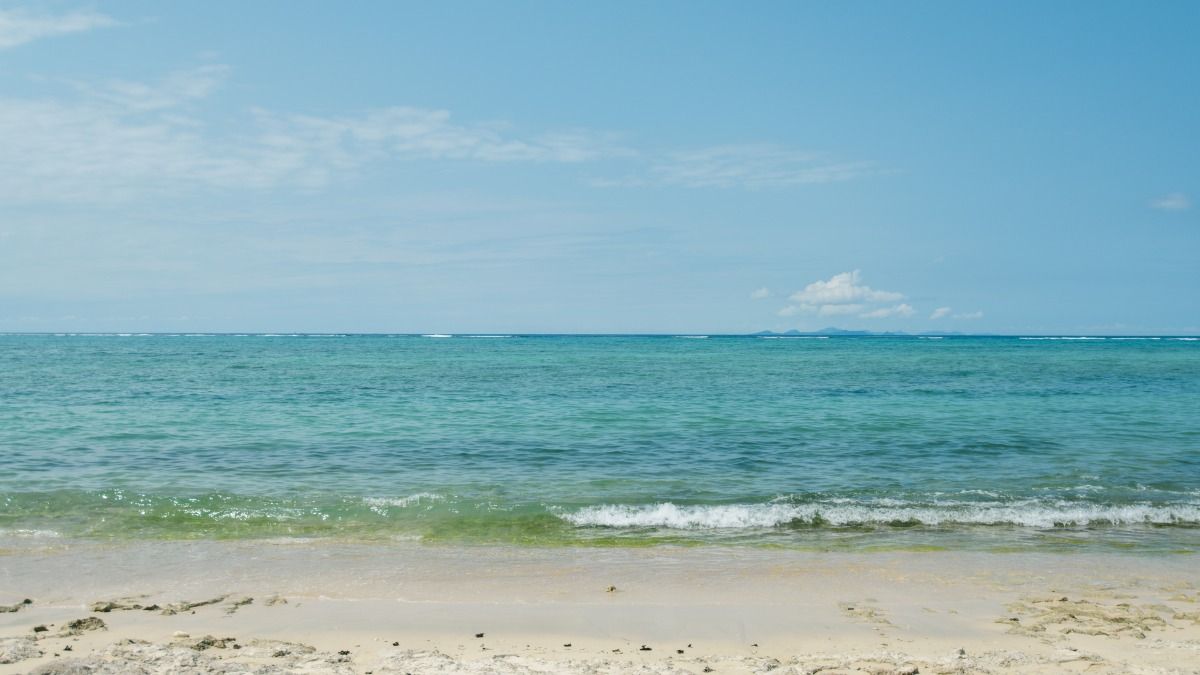 9月-12月 LODGE宿泊プラン - 10