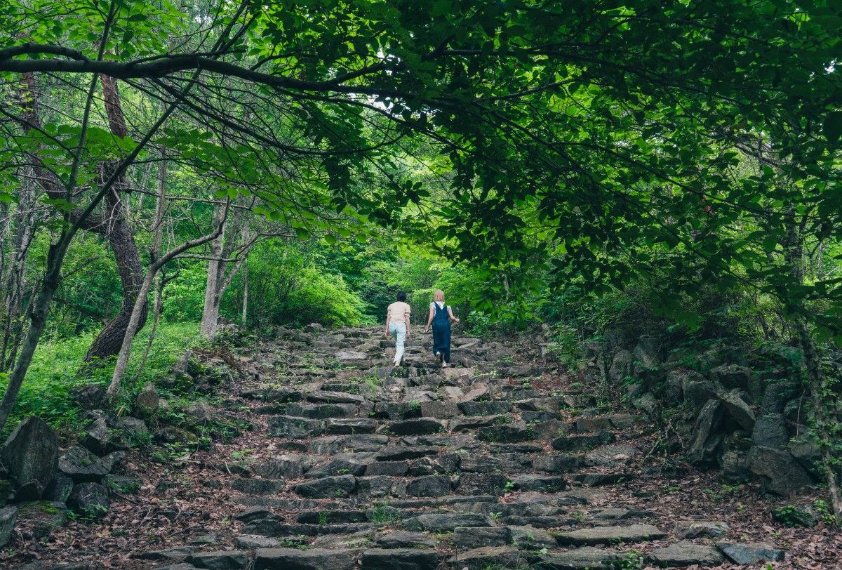 秩父の絶景キャンプ場　Mahora稲穂山 - 5