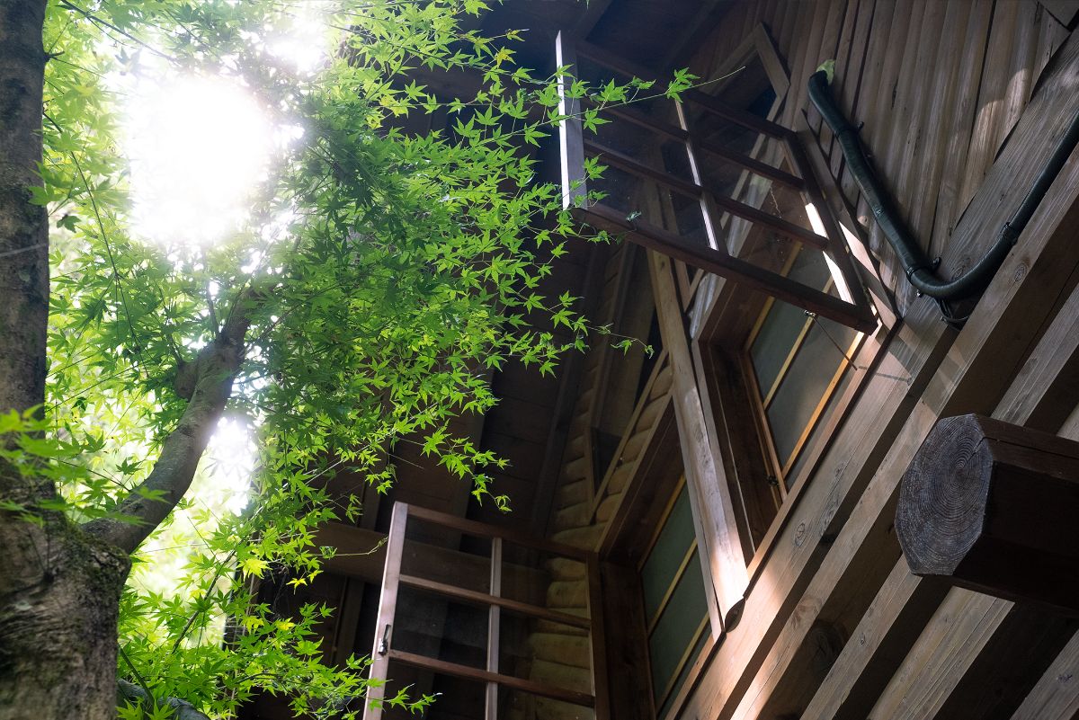 log&sauna 和 - nagomi, wakayama - - 2