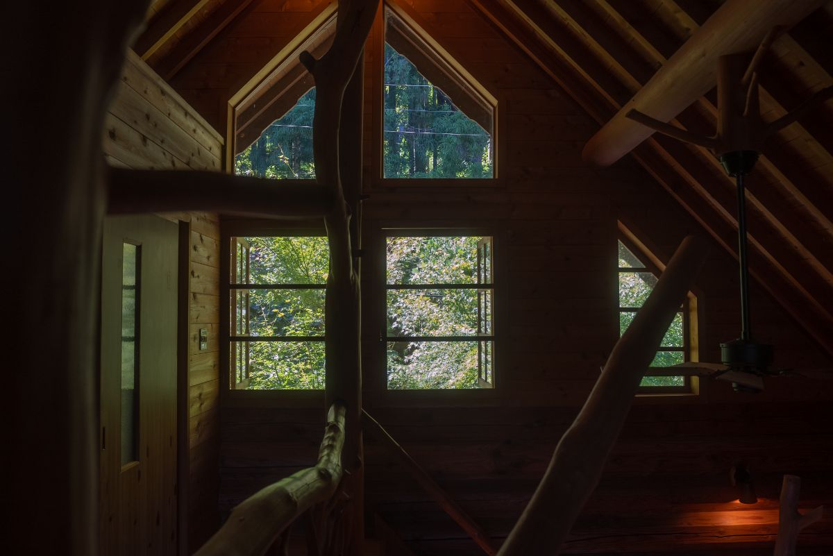 log&sauna 和 - nagomi, wakayama - - 3