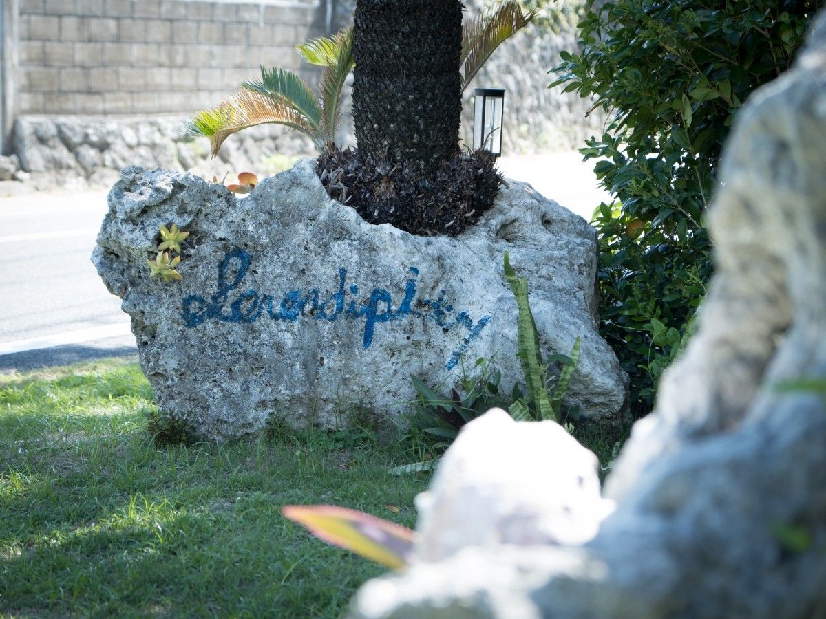 Serendipity Kikaijima - 34
