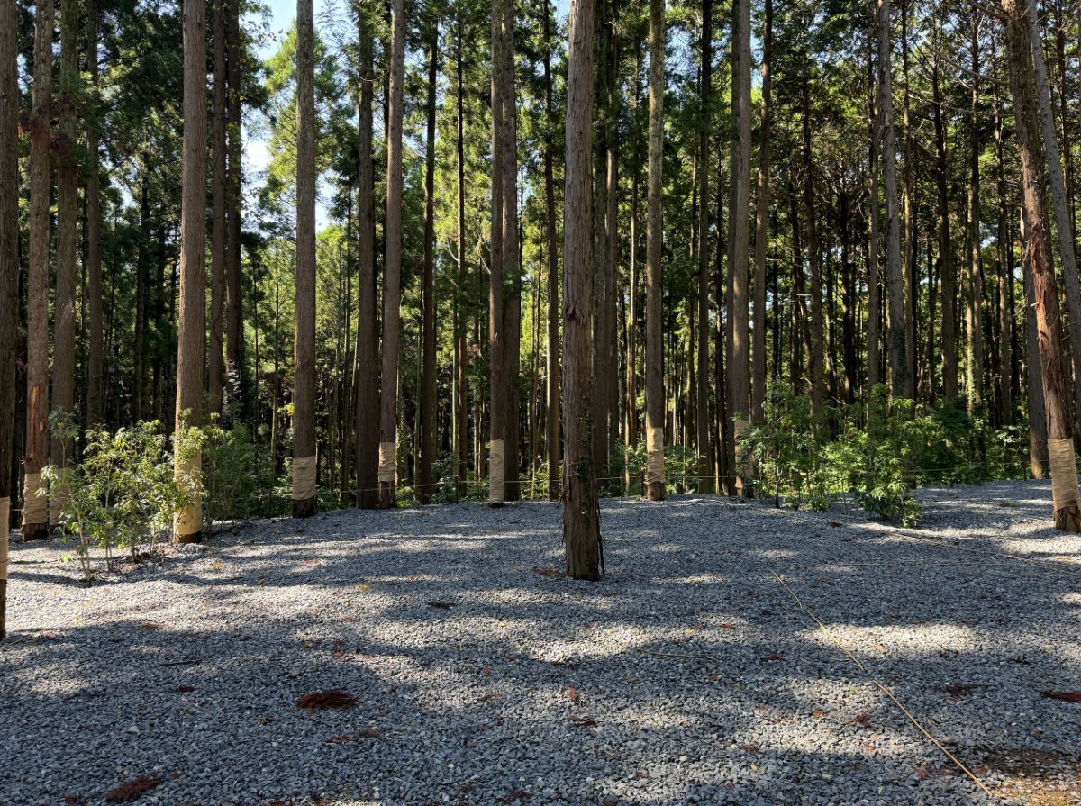 05_Standard site - 2