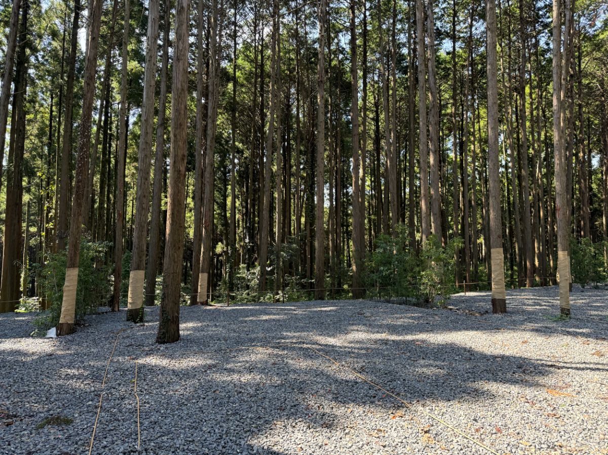 07_Standard site - 2