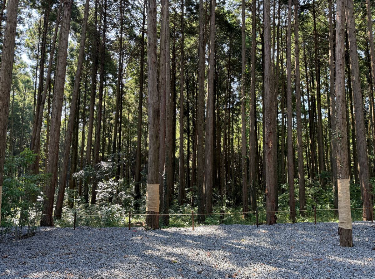 08_Standard site - 2