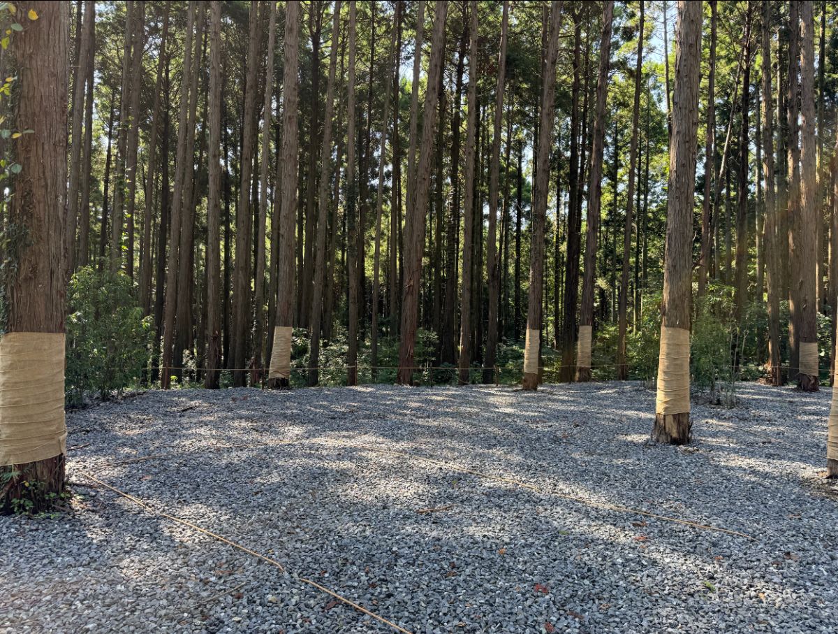 09_Standard site - 2