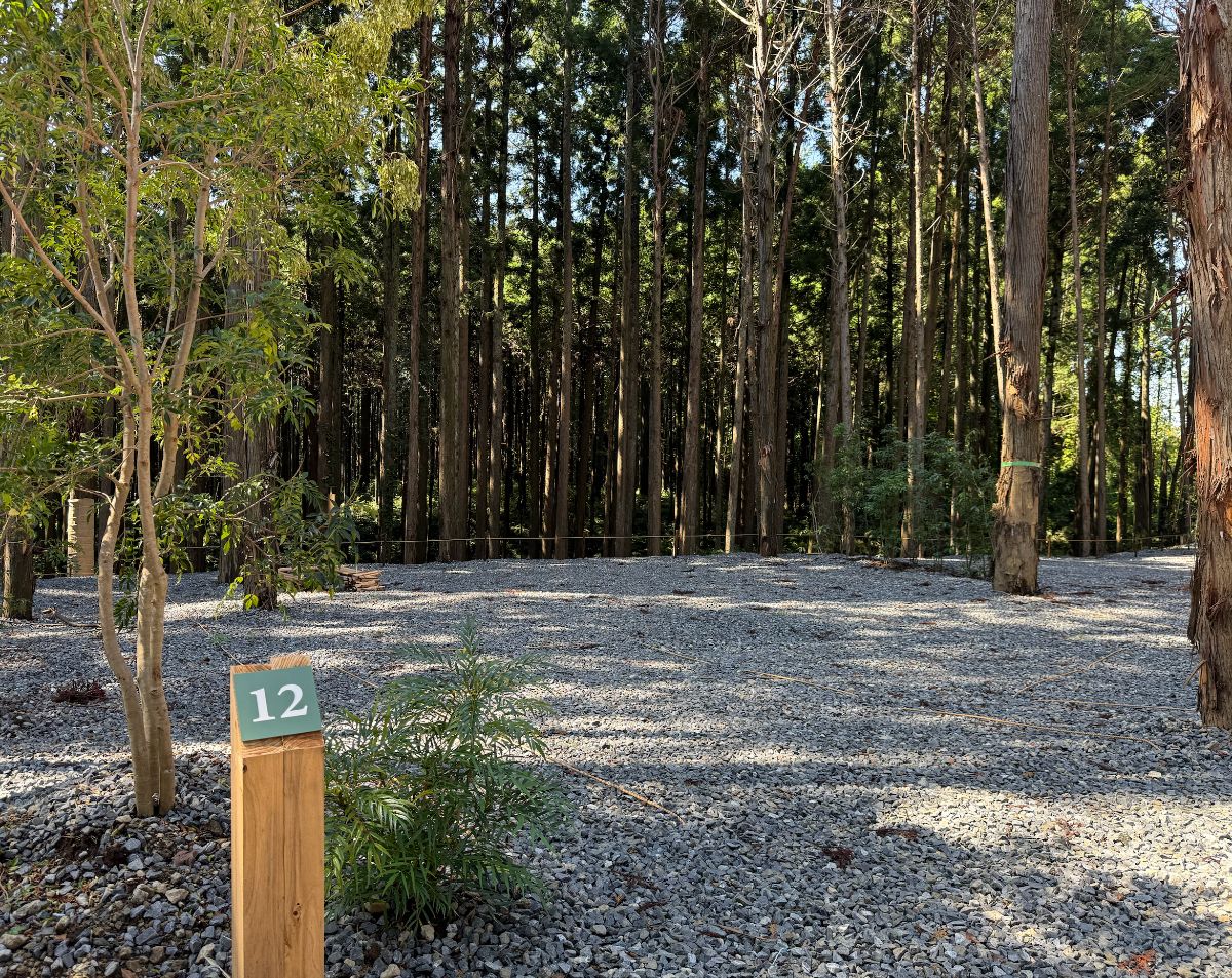 12_Site with foot bath【Forest view】 and power supply - 2