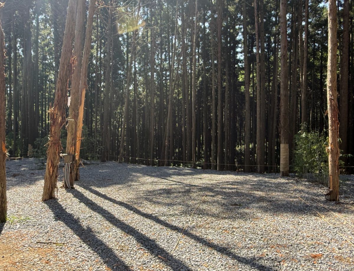 13_Standard site with power supply【Forest view】 - 2