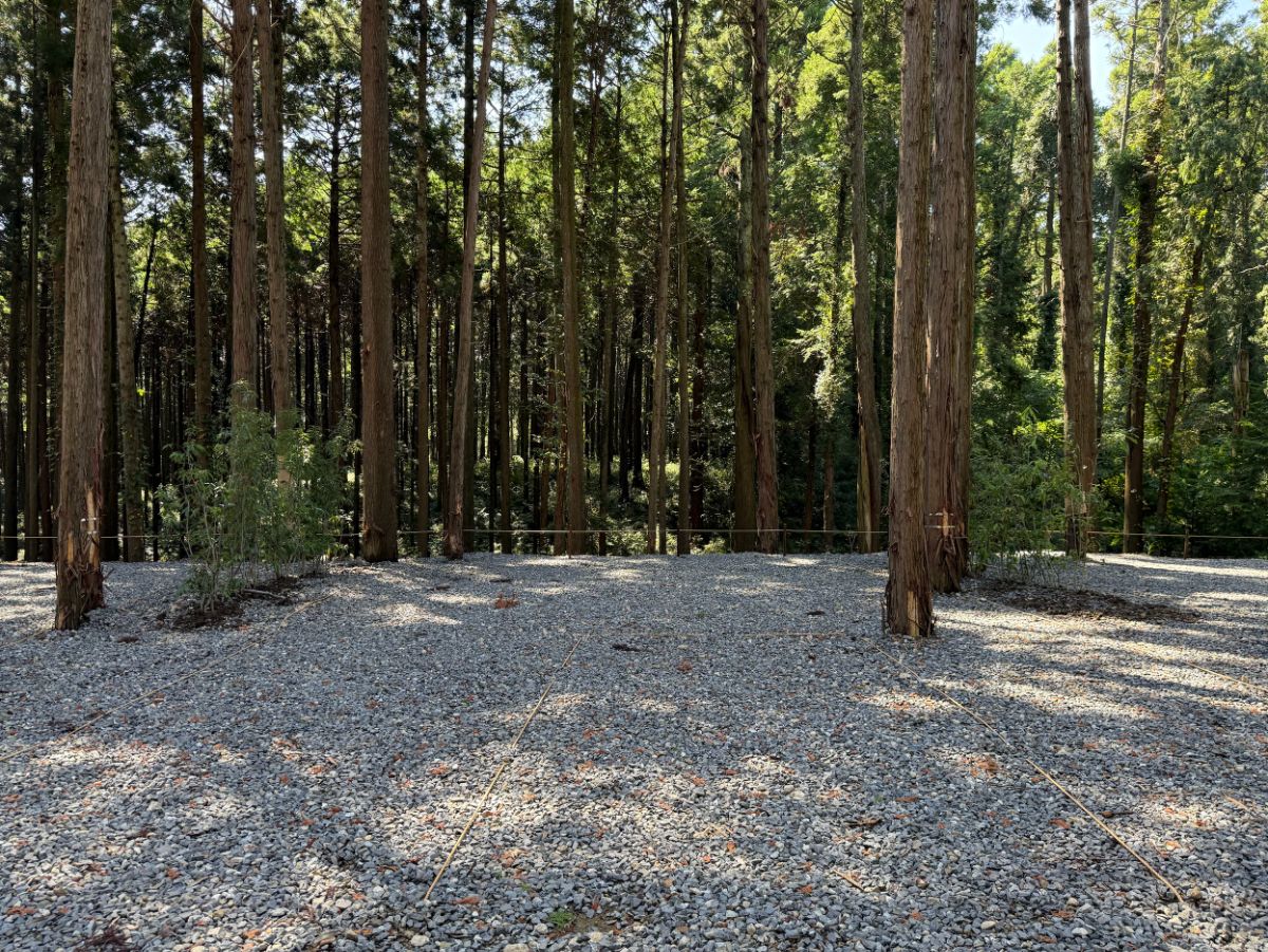 16_Standard site with power supply【Forest view】 - 2