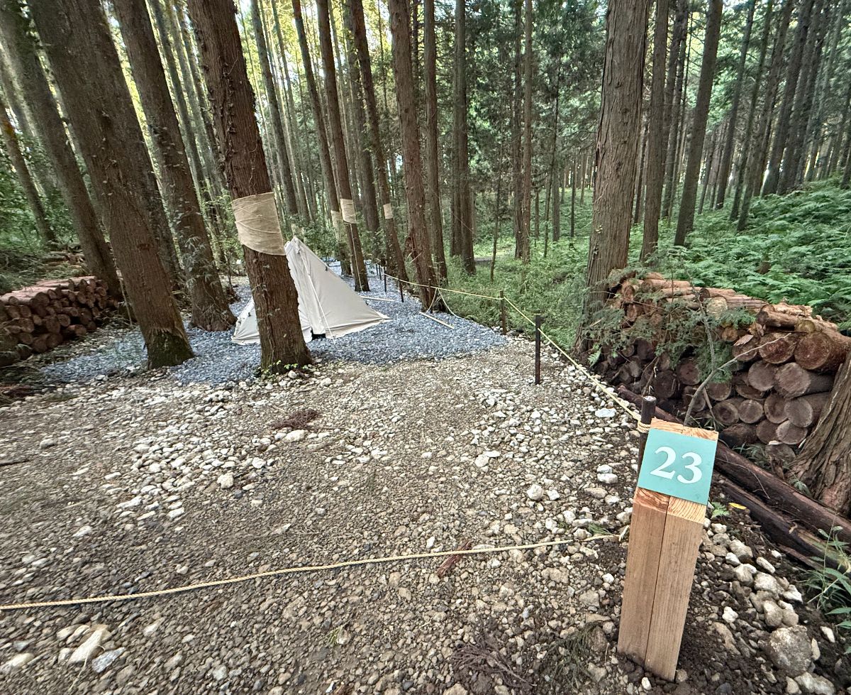23_Solo/Duo site【Forest view】 - 2