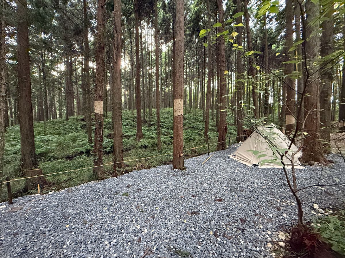 23_Solo/Duo site【Forest view】 - 3