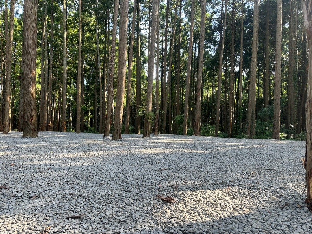 Standard site【Forest view】 - 2
