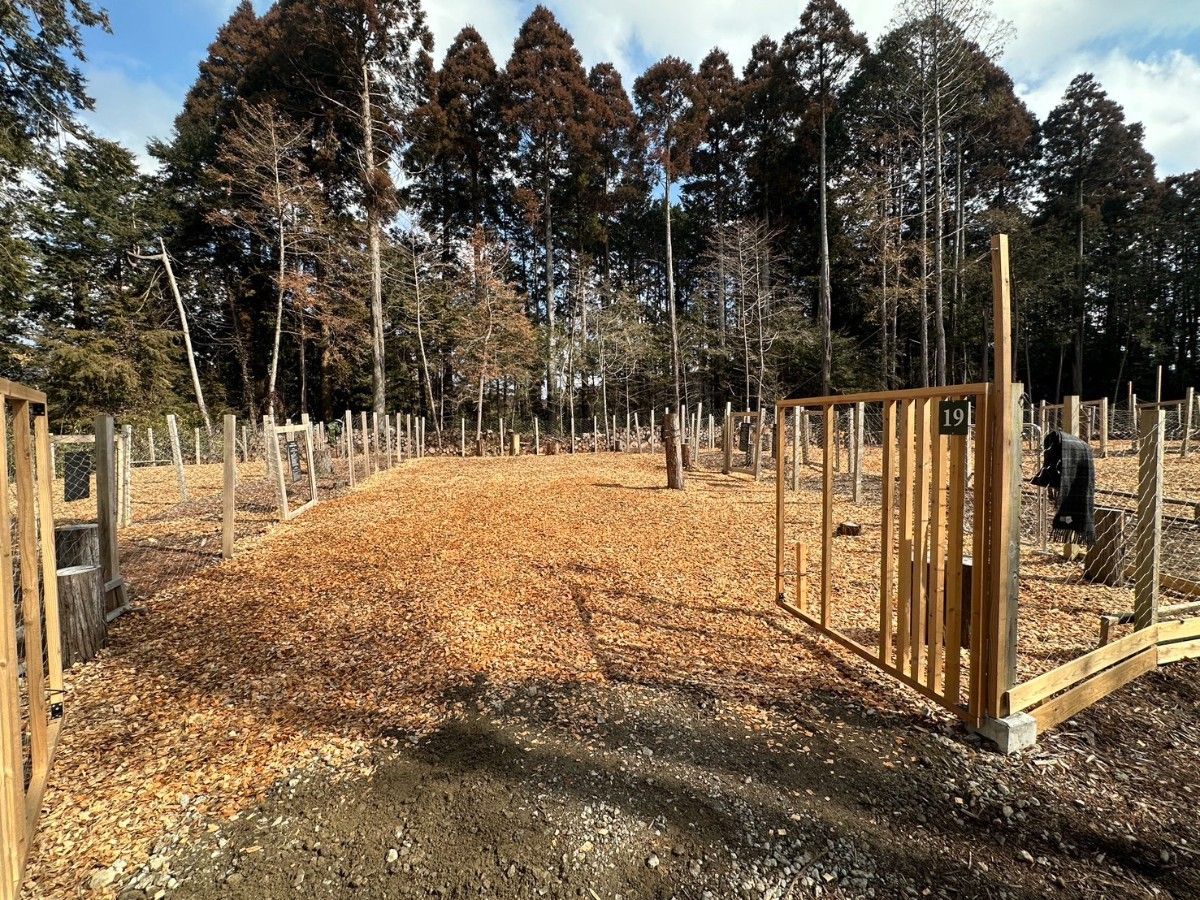Dog run site【with power supply】 - 2