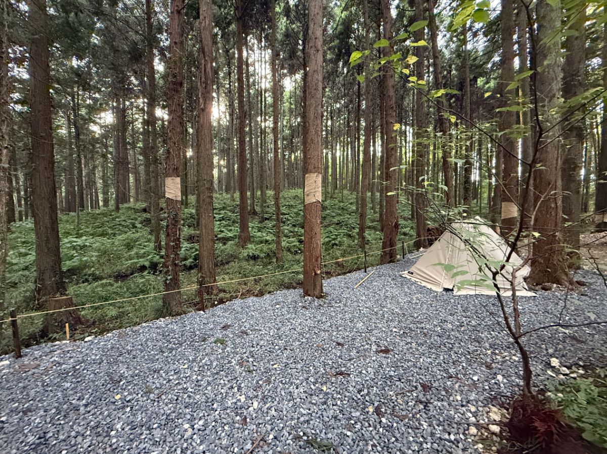 Solo/Duo site【Forest view】 - 2