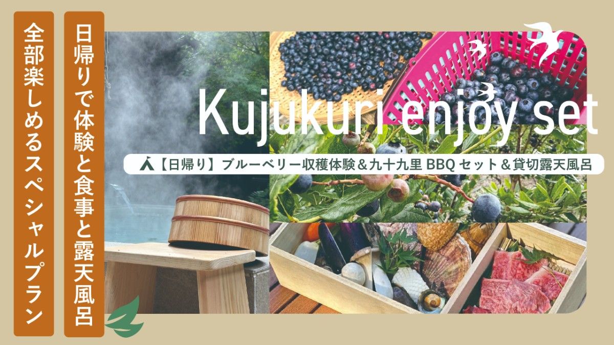 【日帰り】ブルーベリー収穫体験&BBQセット&貸切露天風呂 - 1