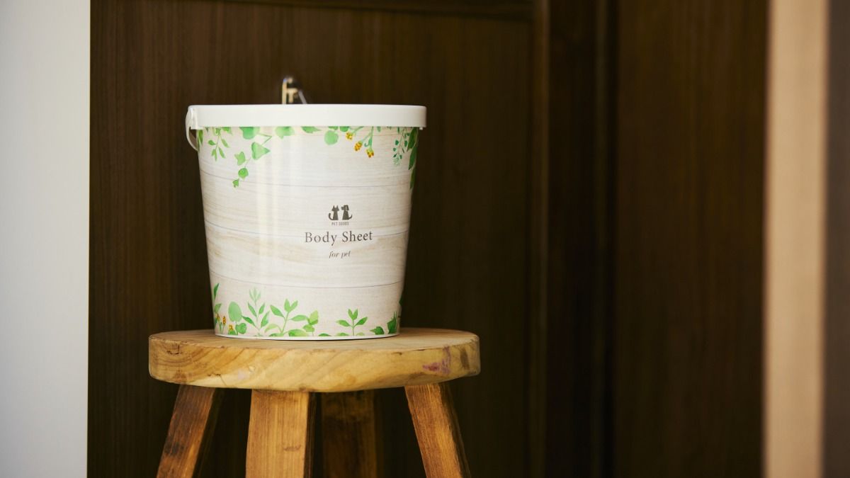 Dog Friendly Cottage(愛犬可) - 6