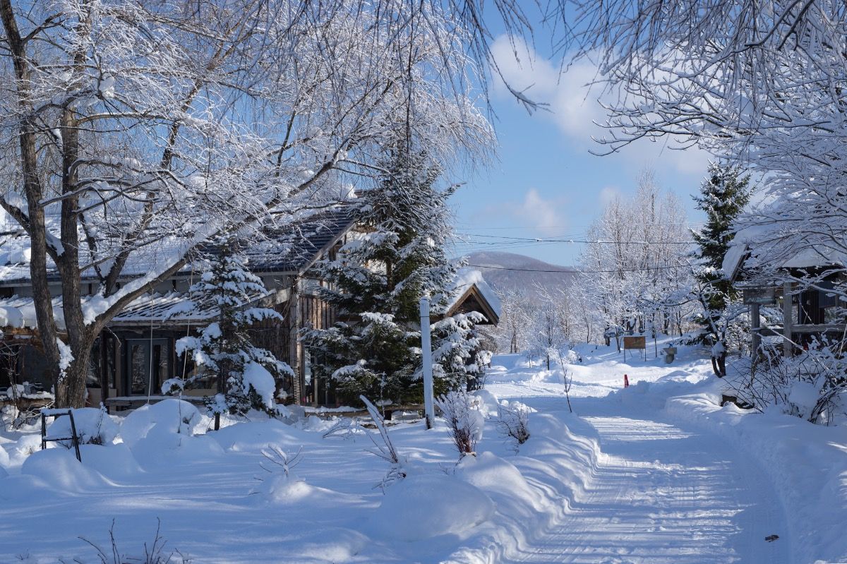 【年末年始・夕朝食付】12/25〜1/10ご予約はこちら！ - 5