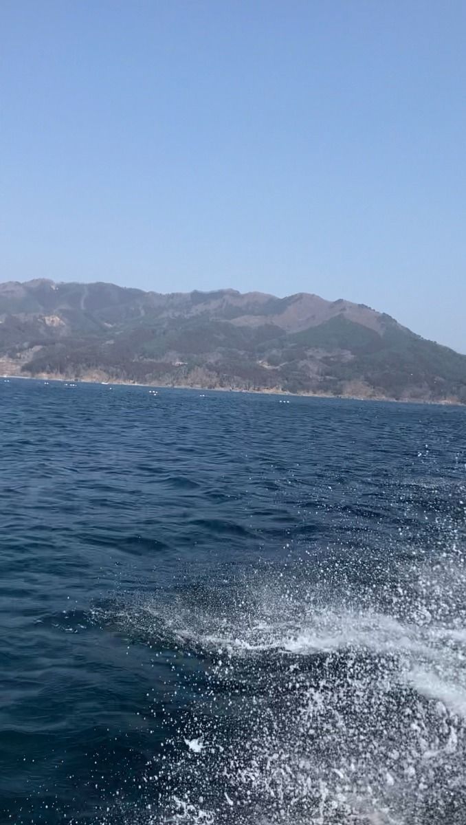 クルージング体験