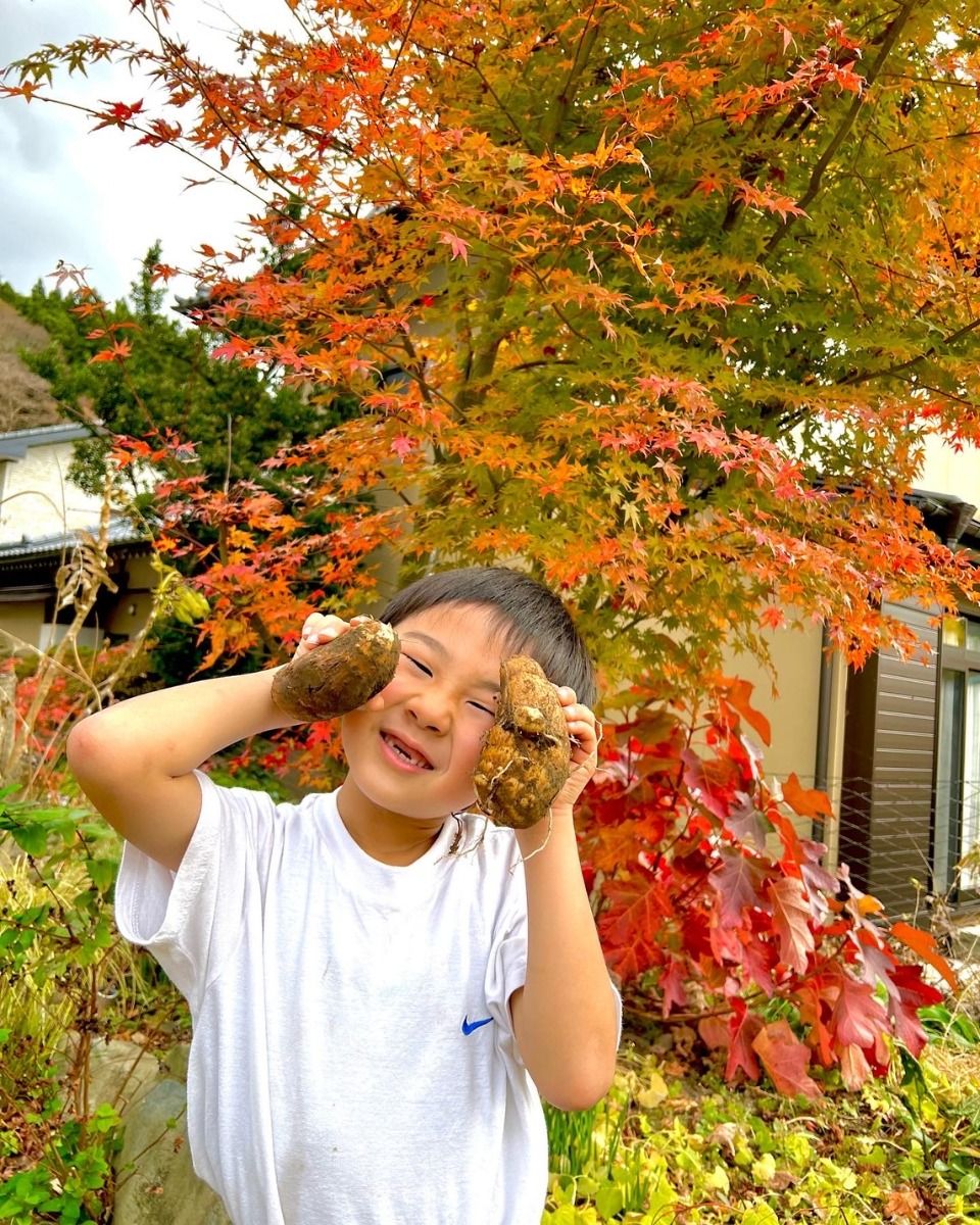 野菜収穫 - 3