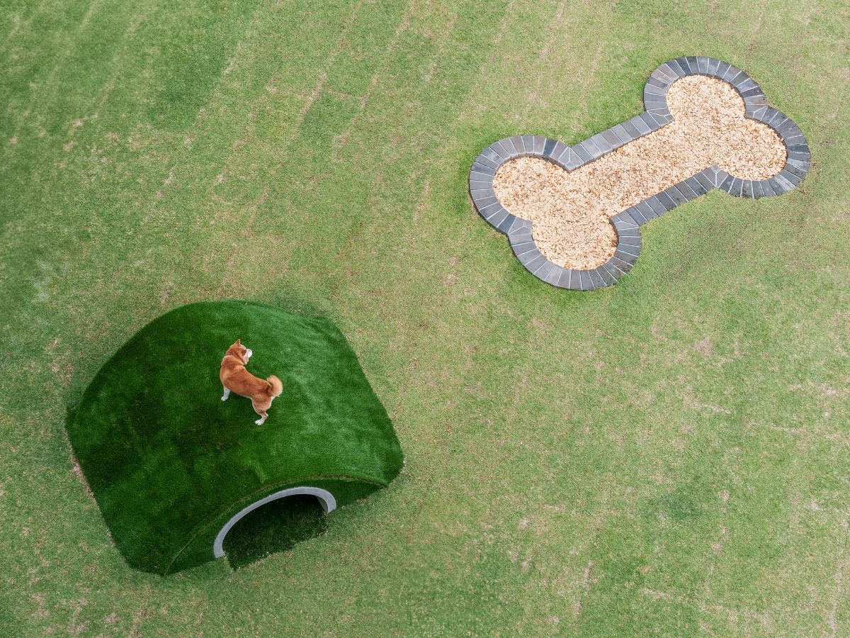 DOG HOTEL SHIRAHAMA