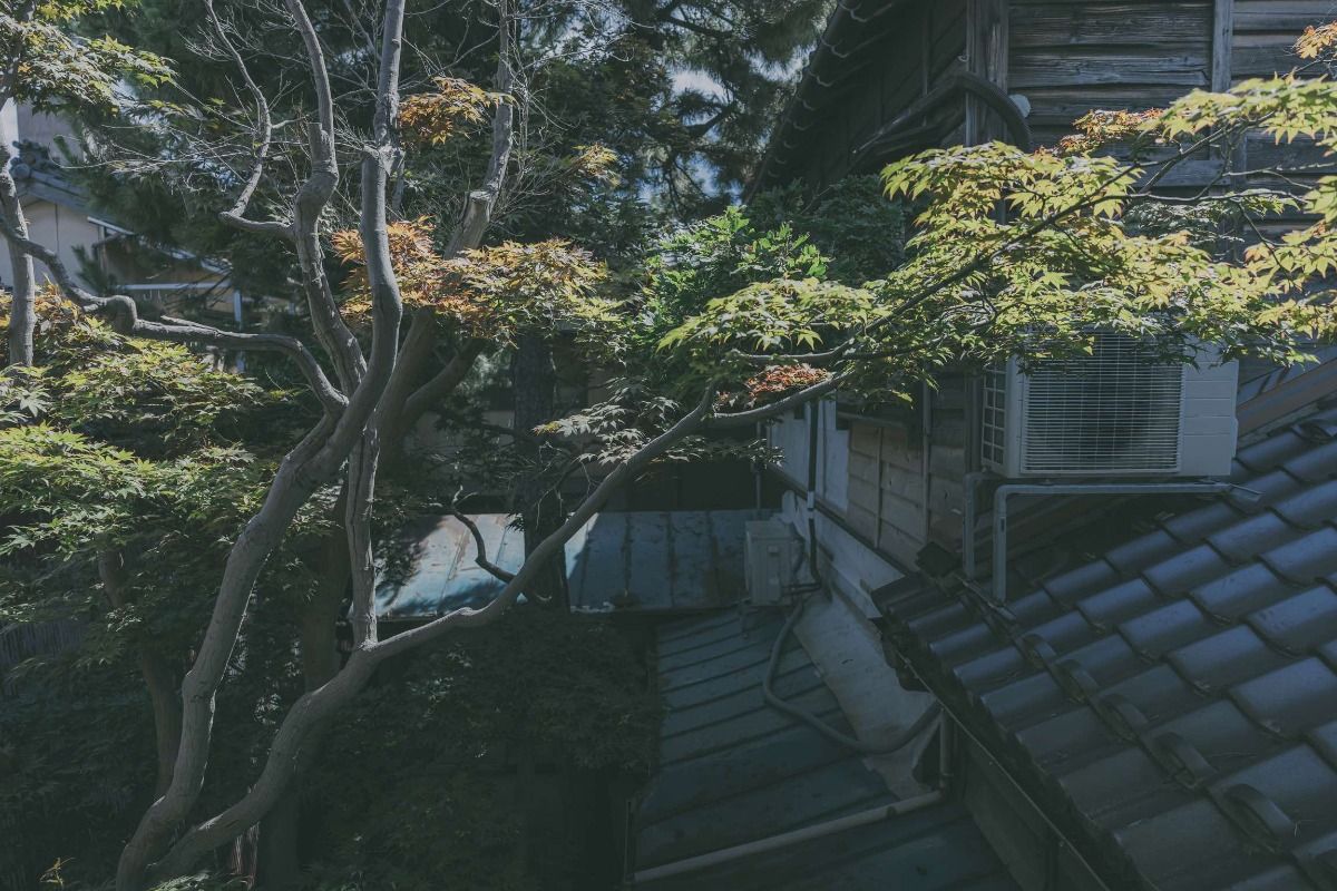 和室 - 4