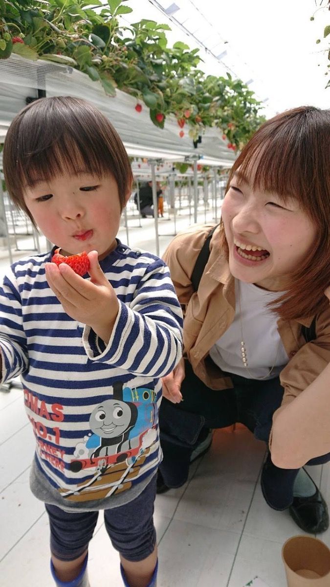 〔4月末まで・お子様半額〕完熟いちご狩りプラン - 3