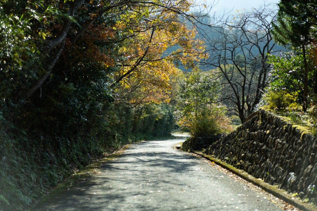 一棟貸宿SUI - 9