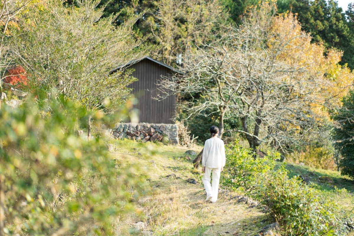 緑に包まれた一棟貸宿 - SUI - - 6