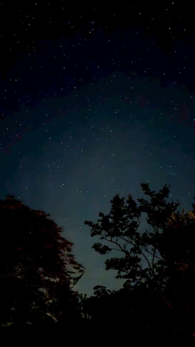 呼吸を深める、2泊3日ヨガリトリート｜SUI -大分県中津市 - 15