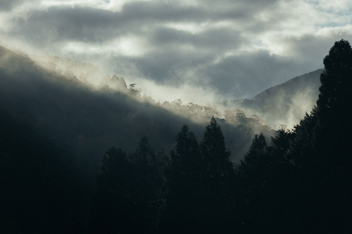 野間野 - 9