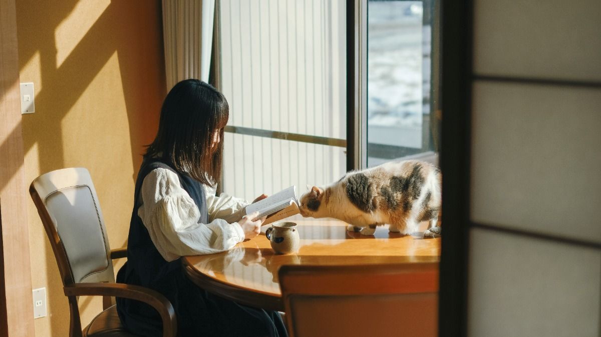 民泊たなごころ - 3