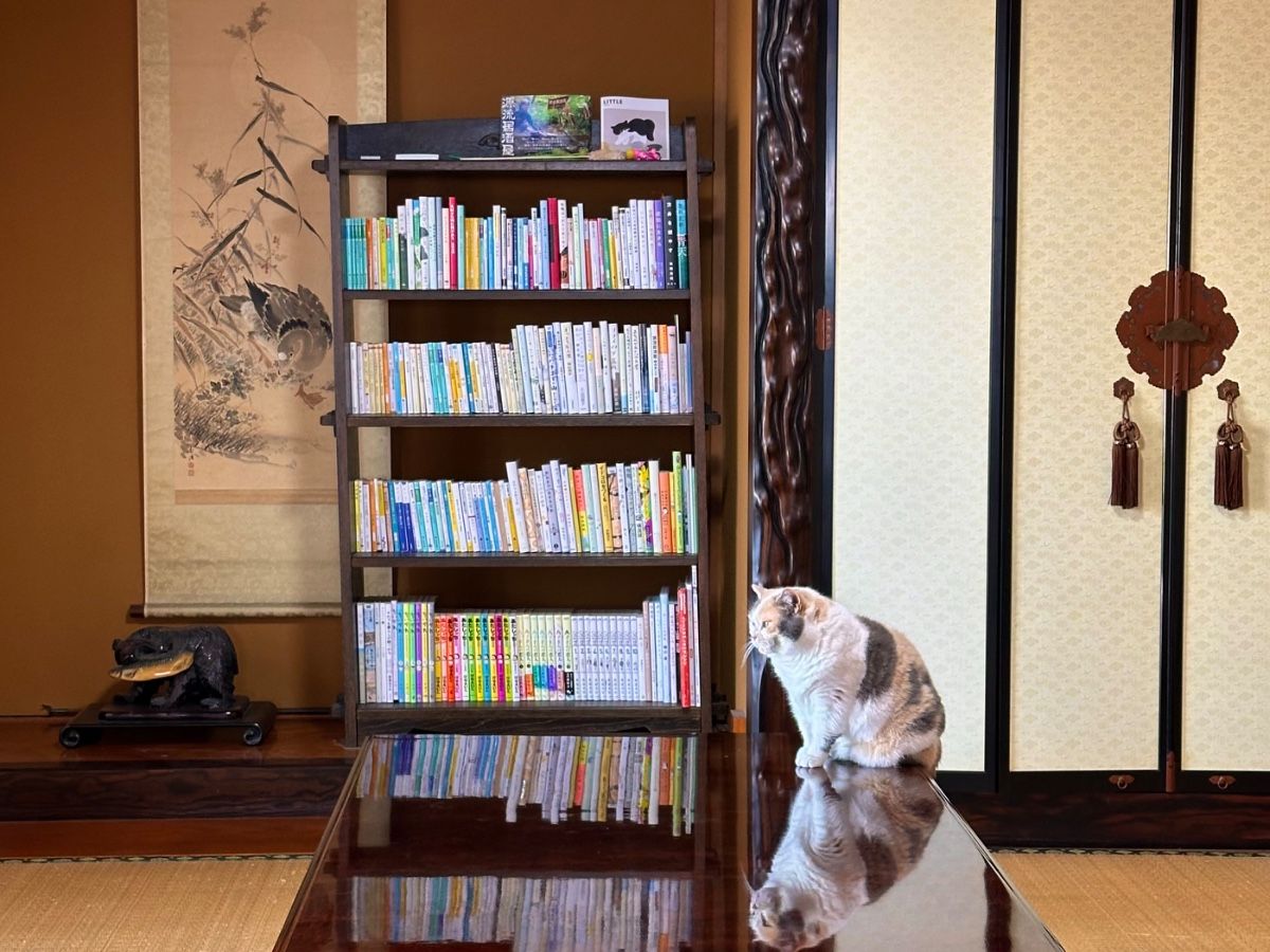 積読解消プラン【連泊】