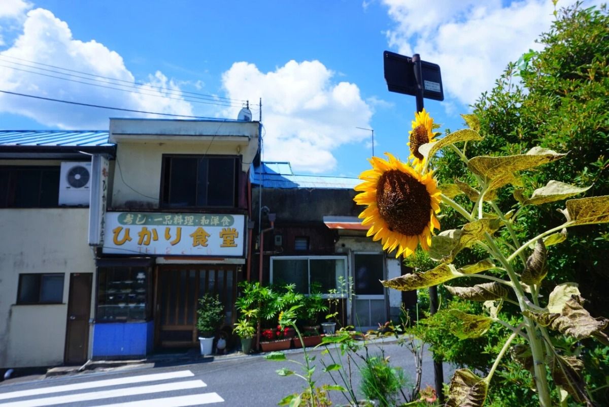 Yoshino Miyataki Lantern Inn with Sauna - 24